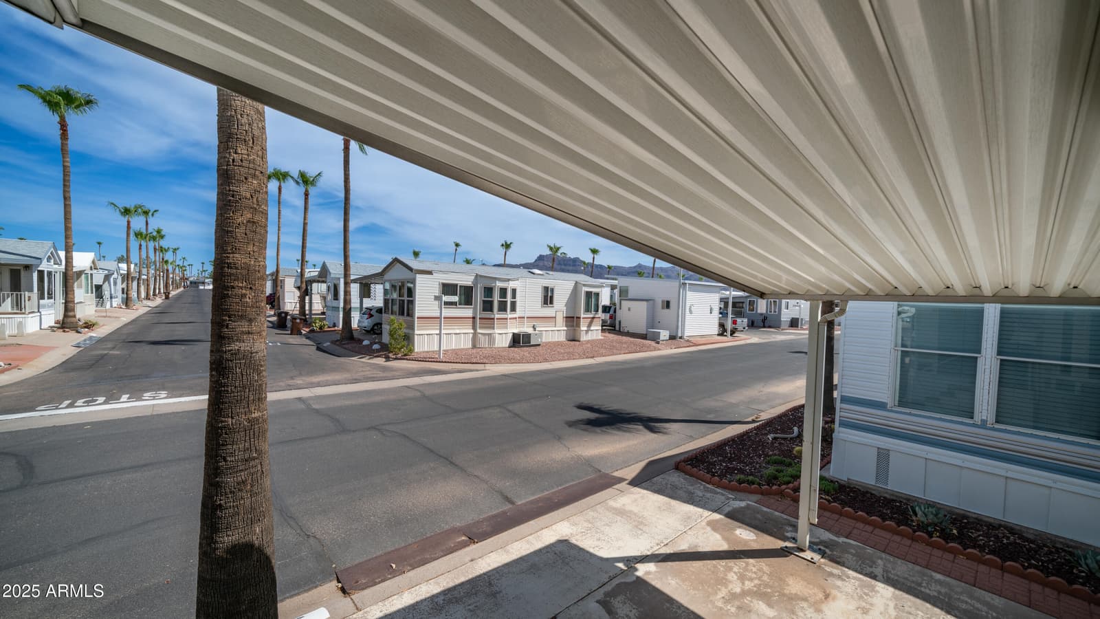 3 ORECART Drive 3, Apache Junction, AZ 85119 — photo 6 of 60