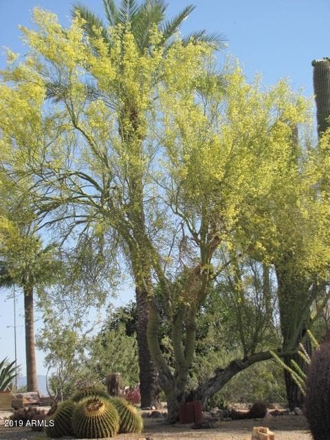 56550 RANCHO CASITAS Road, Wickenburg, AZ 85390 — photo 79 of 112