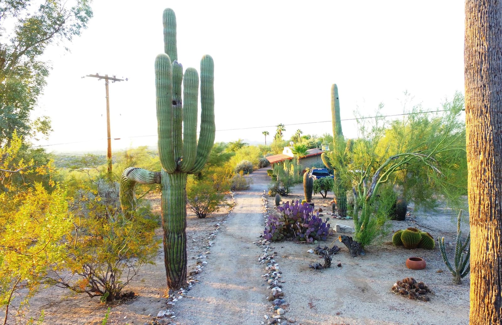 56550 RANCHO CASITAS Road, Wickenburg, AZ 85390 — photo 85 of 112