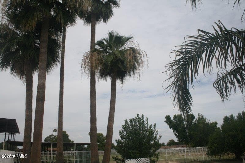 804 N Alzora Way, Tolleson, AZ 85353 — photo 16 of 44