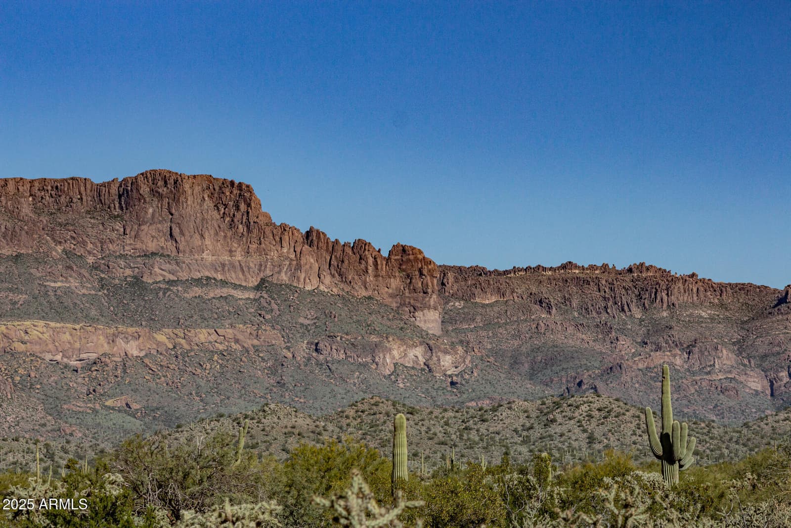 8174 S Mountain Air Lane, Gold Canyon, AZ 85118 — photo 44 of 45