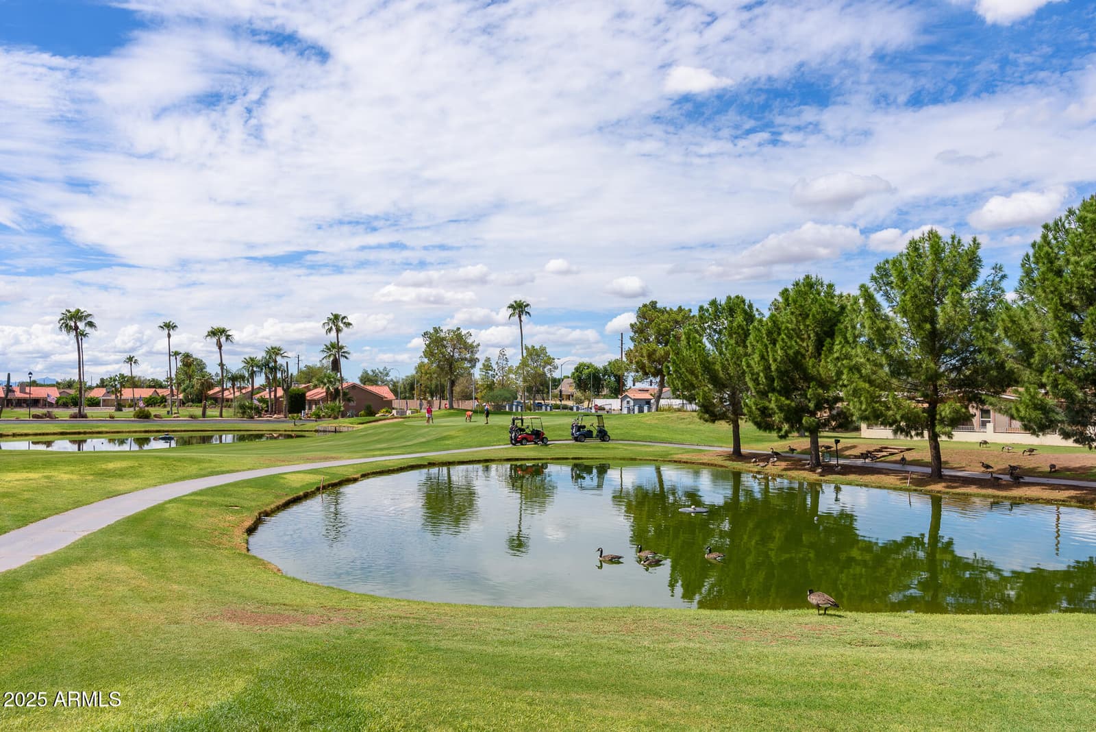 1757 E LINDRICK Drive, Chandler, AZ 85249 — photo 100 of 103