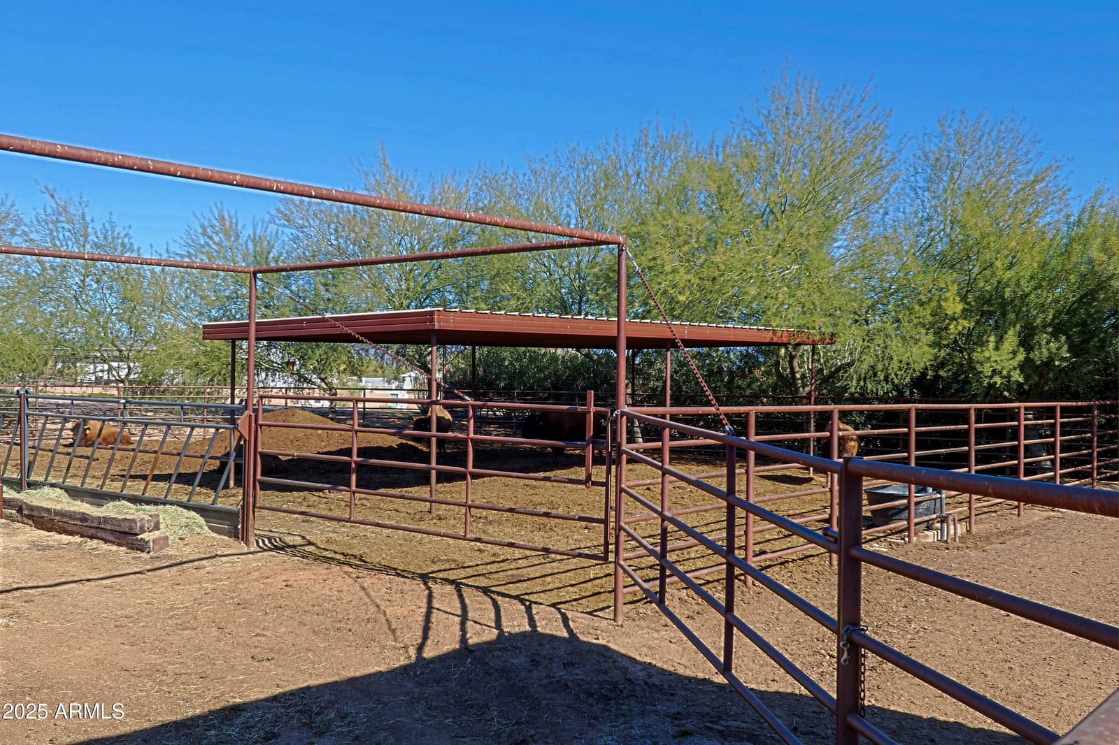 30609 N 144TH Street, Scottsdale, AZ 85262 — photo 130 of 158