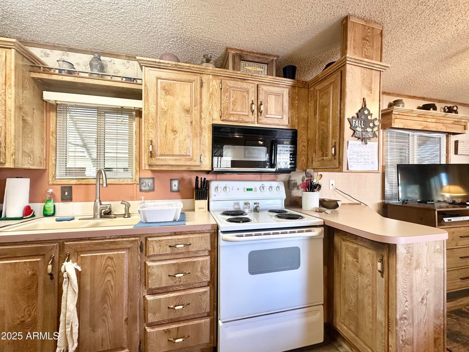 930 S Nickel Drive, Apache Junction, AZ 85119 — photo 26 of 62