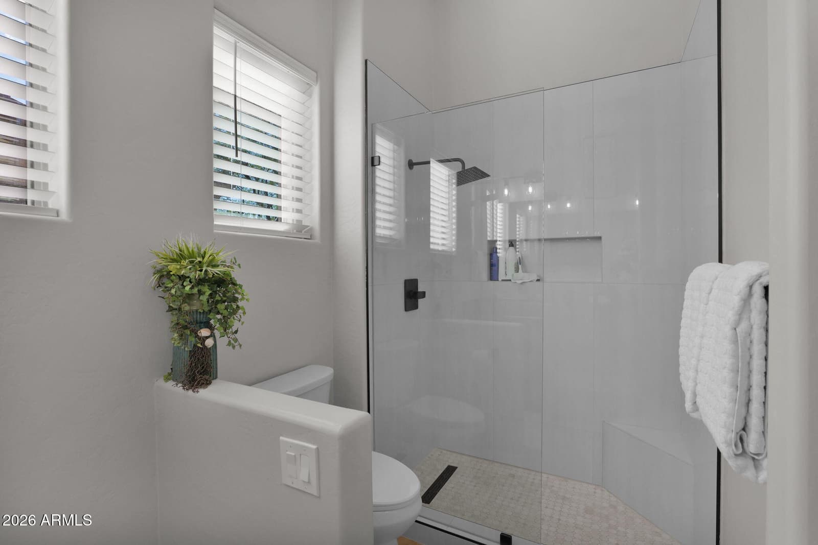 40610 N BRADON Court, Anthem, AZ 85086 — photo 47 of 55