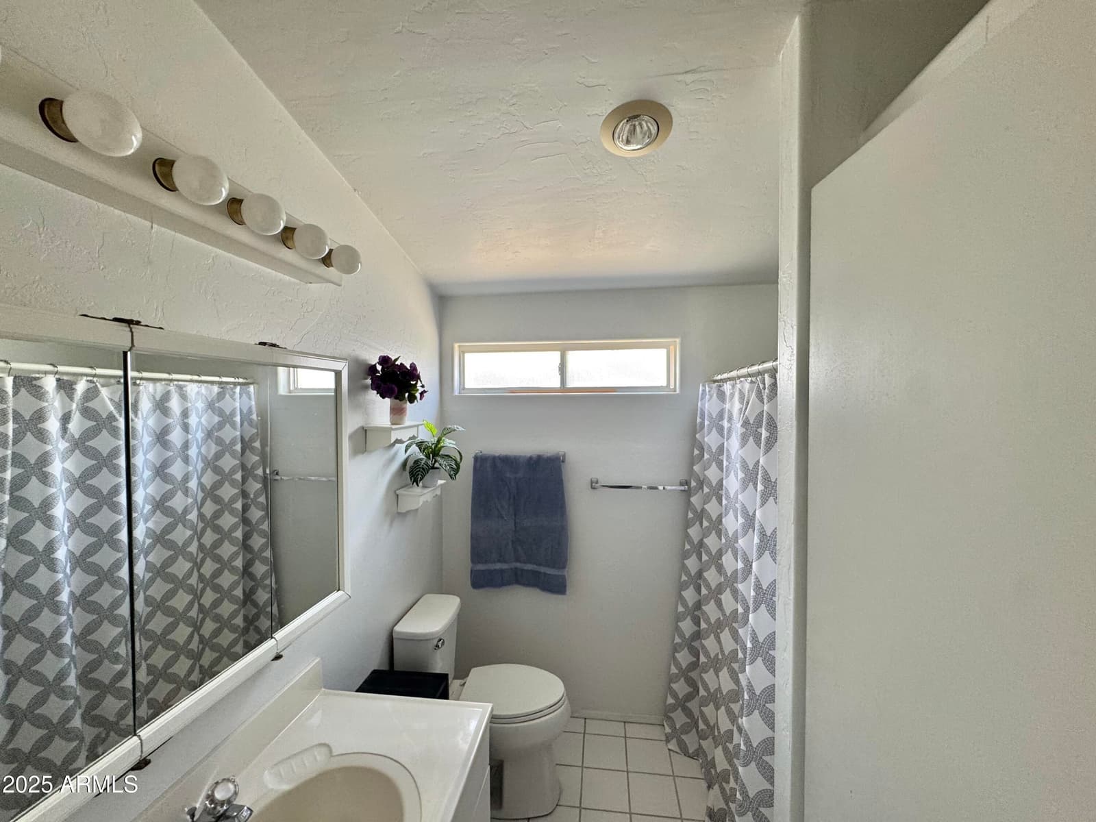 2358 S Pomo Avenue, Apache Junction, AZ 85119 — photo 13 of 19