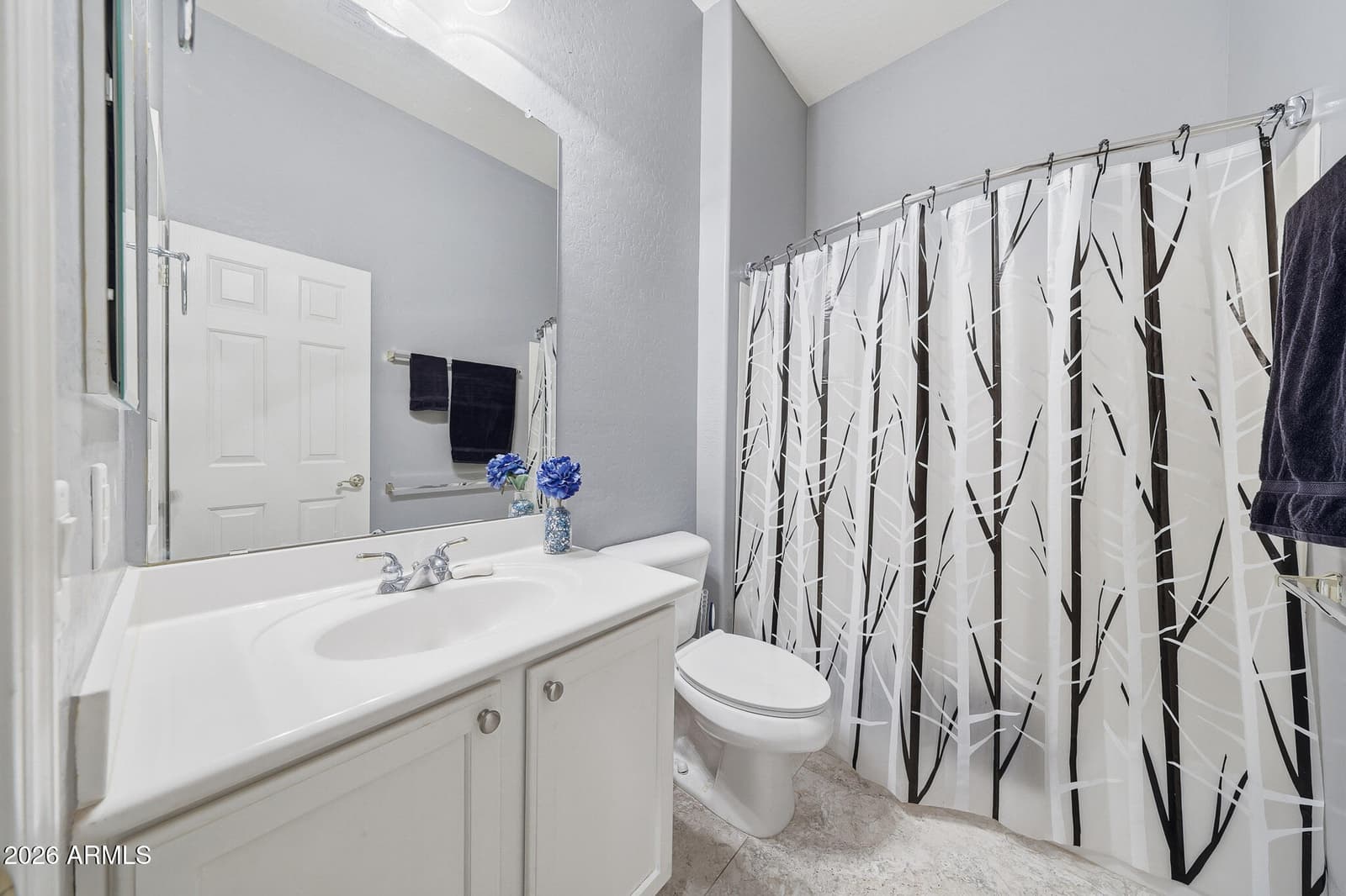 42820 N LIVINGSTONE Way, Anthem, AZ 85086 — photo 43 of 64