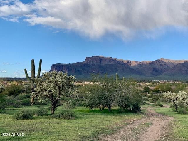 7622 E GLOBEMALLOW Lane, Gold Canyon, AZ 85118 — photo 44 of 53