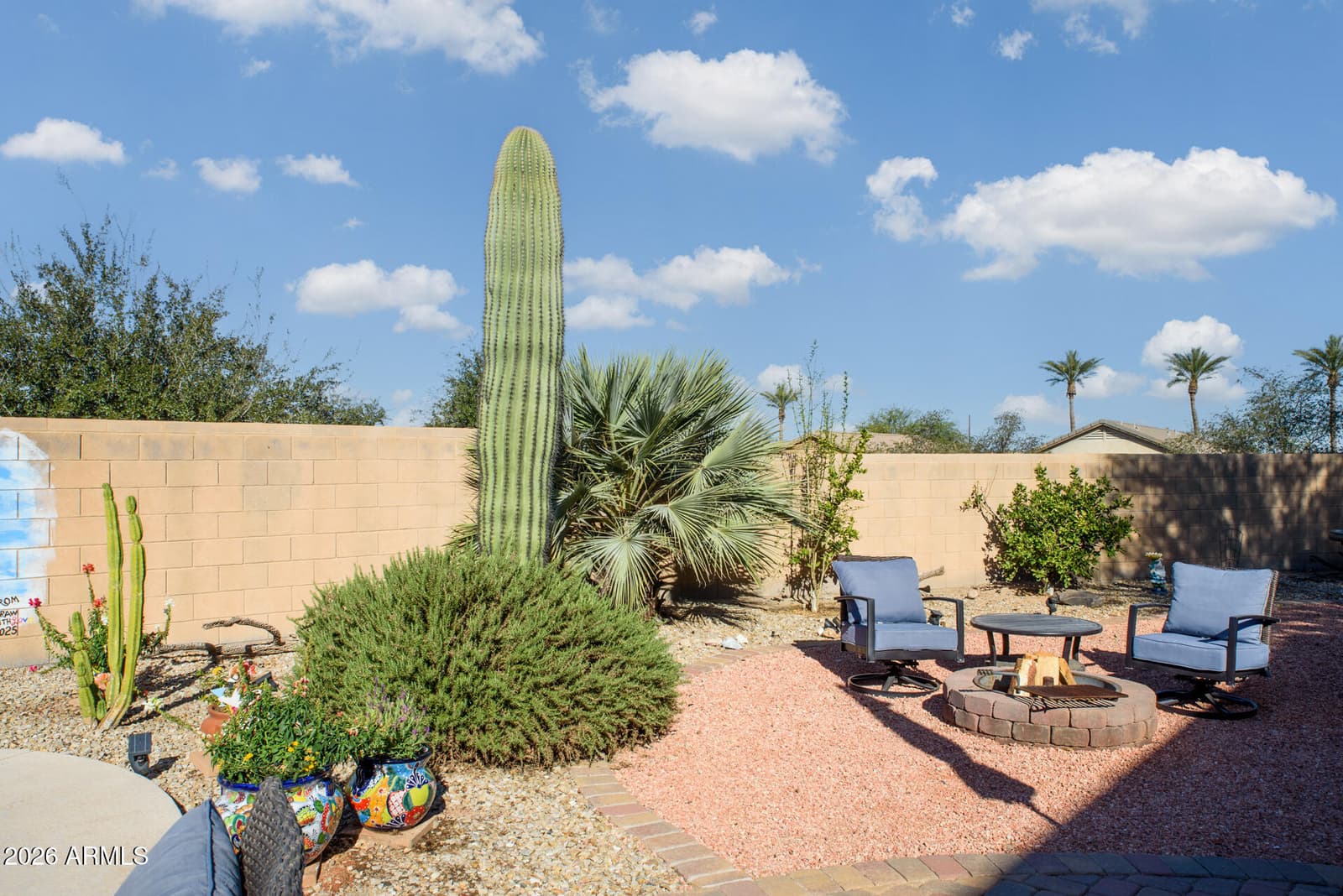 19436 N LOUSANDRA Drive, Maricopa, AZ 85138 — photo 45 of 45
