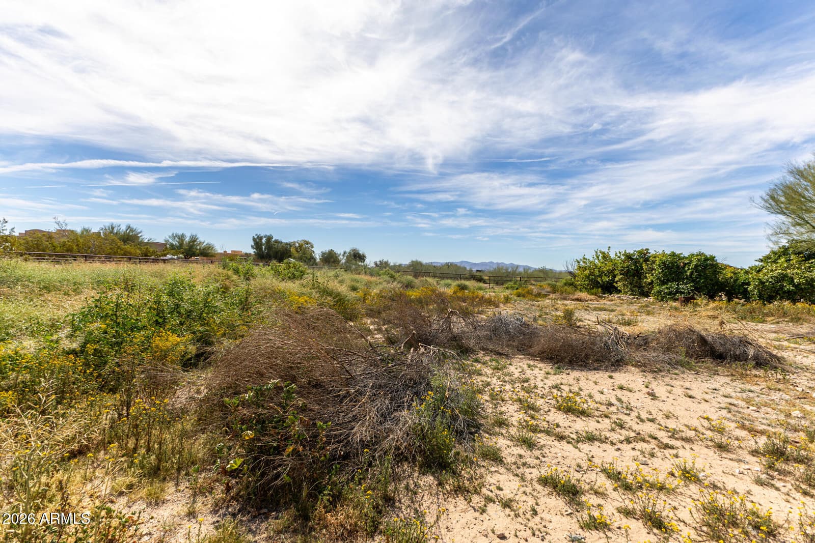 21404 W Caravaggio Lane, Wittmann, AZ 85361 — photo 42 of 42