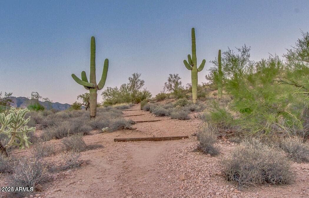 7387 E Cliff Rose Trail, Gold Canyon, AZ 85118 — photo 79 of 82