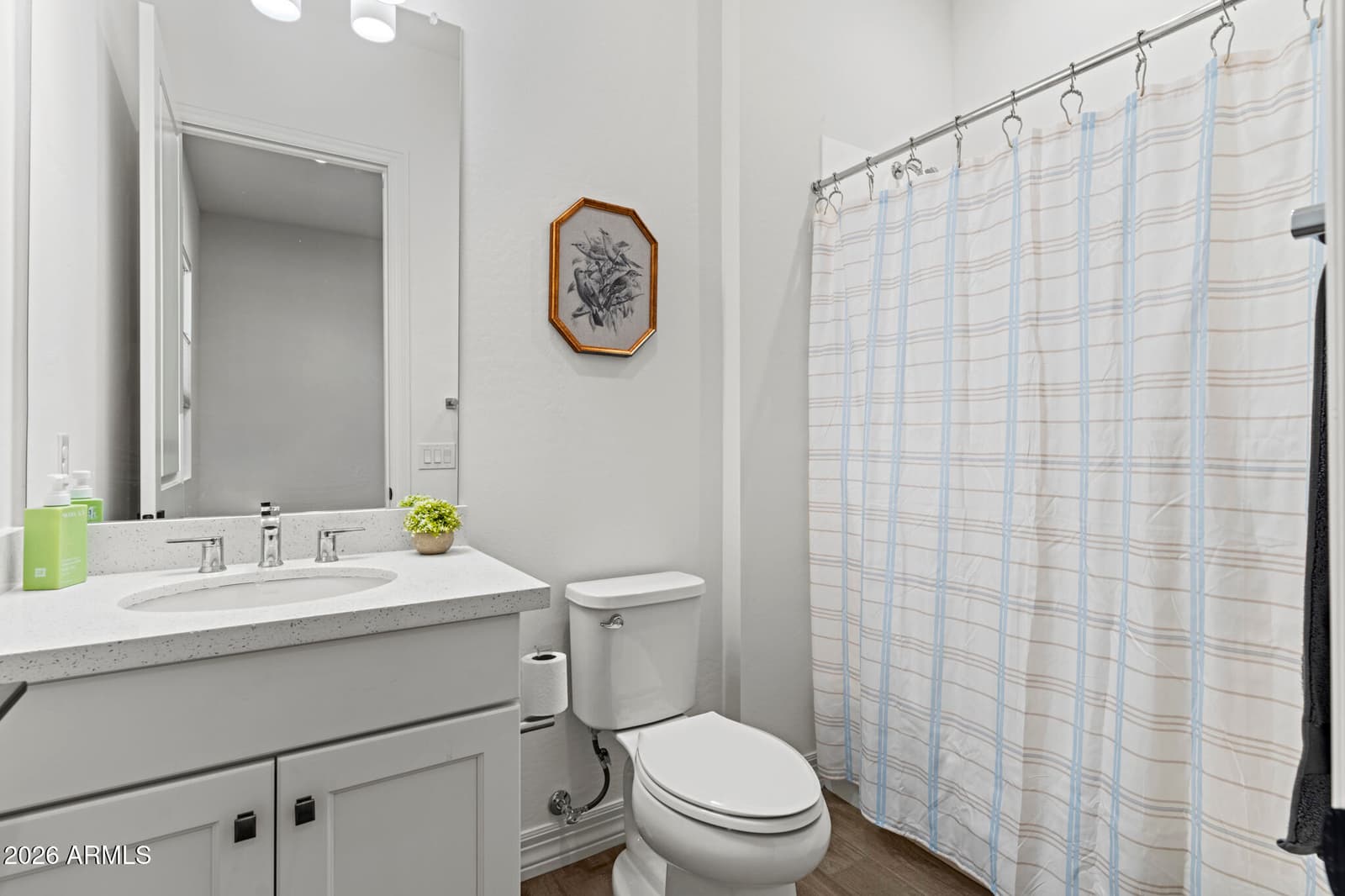 17613 W GUTHRIE Street, Surprise, AZ 85388 — photo 33 of 86