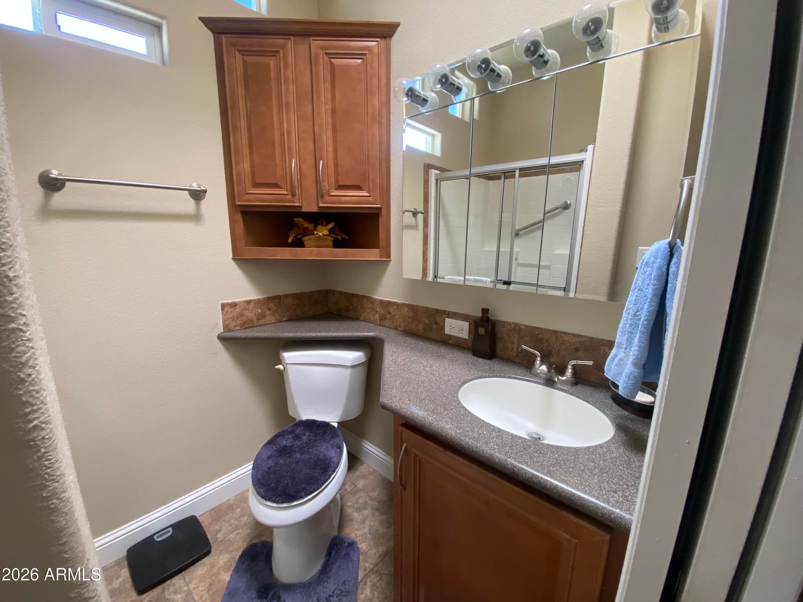 2237 W SAN JUAN Circle, Apache Junction, AZ 85119 — photo 41 of 66