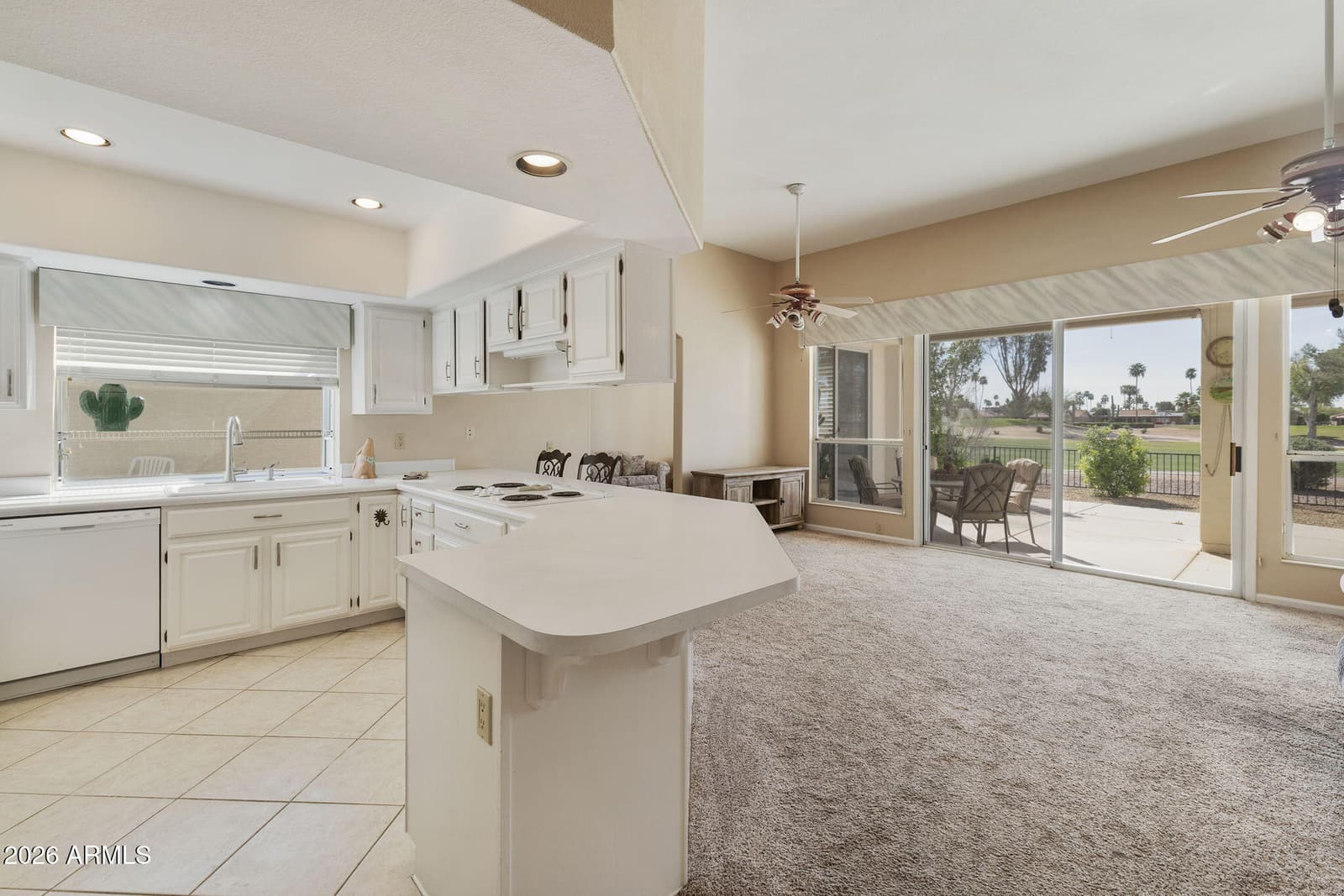 10227 E MICHIGAN Avenue, Sun Lakes, AZ 85248 — photo 5 of 63