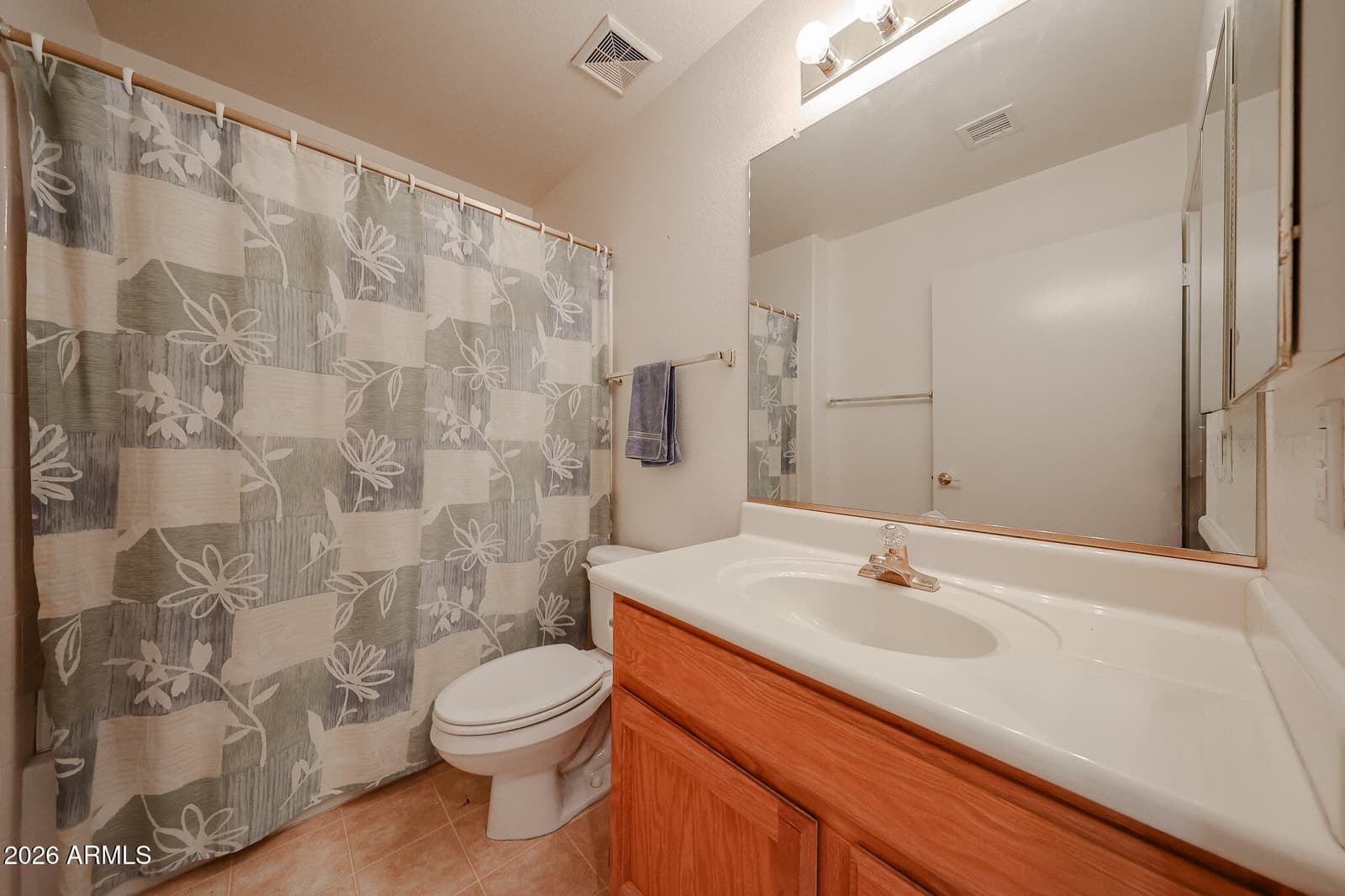 23822 S SERENITY Way, Sun Lakes, AZ 85248 — photo 14 of 32