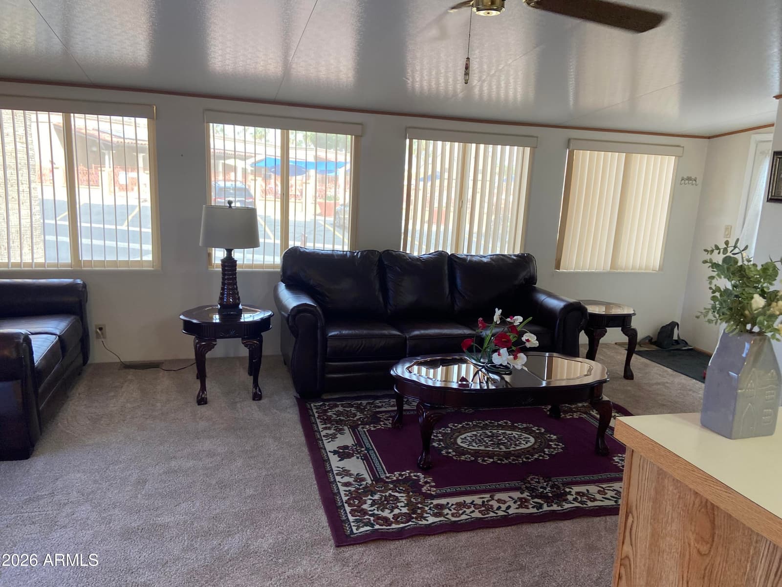 1495 W Pawnee Avenue, Apache Junction, AZ 85119 — photo 5 of 47