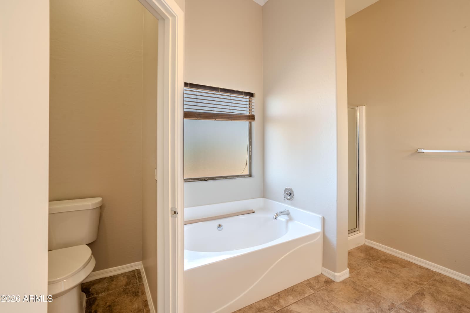 19396 N LOUSANDRA Drive, Maricopa, AZ 85138 — photo 33 of 66