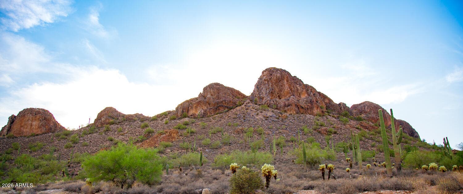9765 E Dead Sure Place, Gold Canyon, AZ 85118 — photo 171 of 172