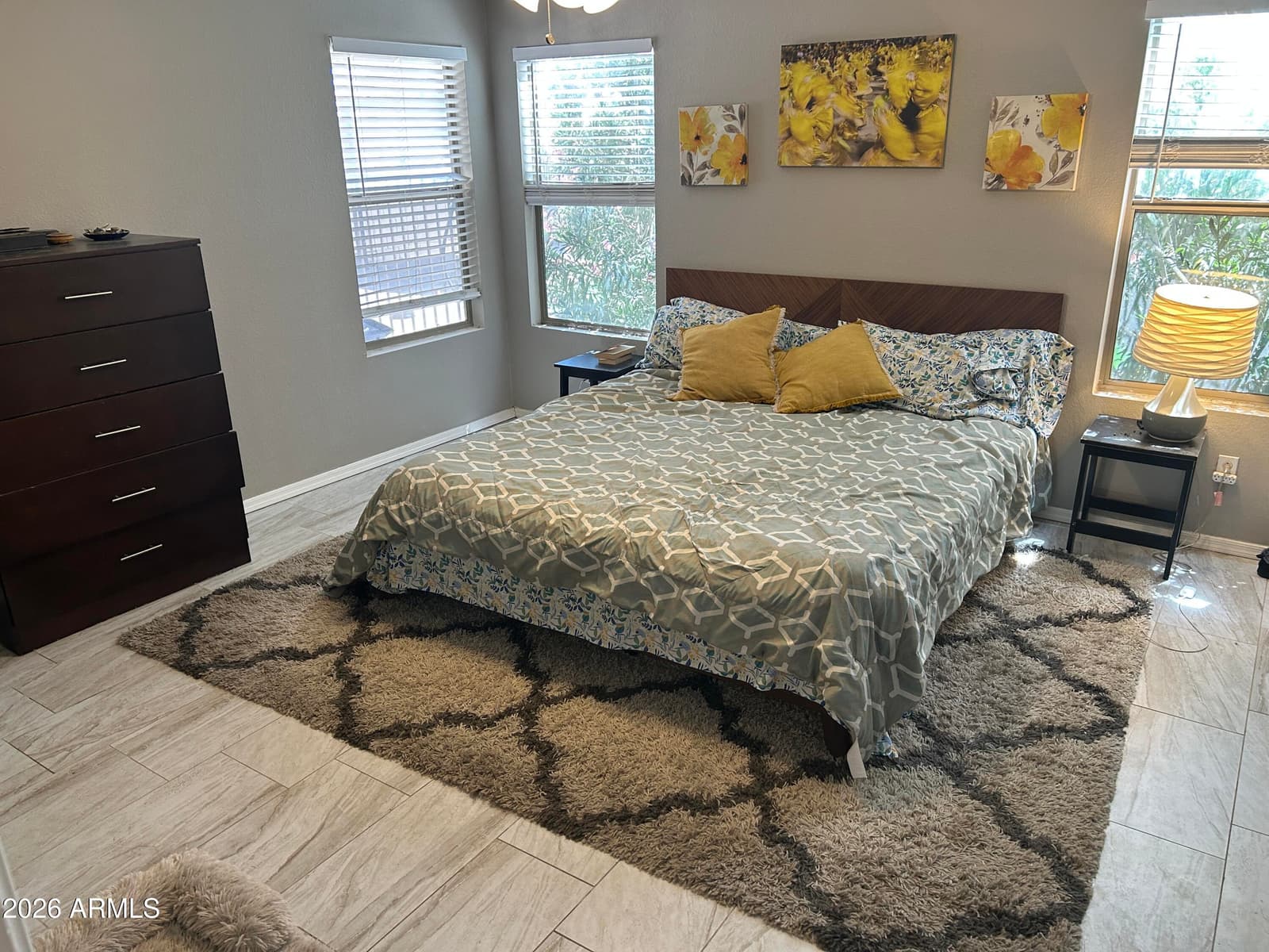 12513 W Coldwater Springs Boulevard, Avondale, AZ 85323 — photo 11 of 23