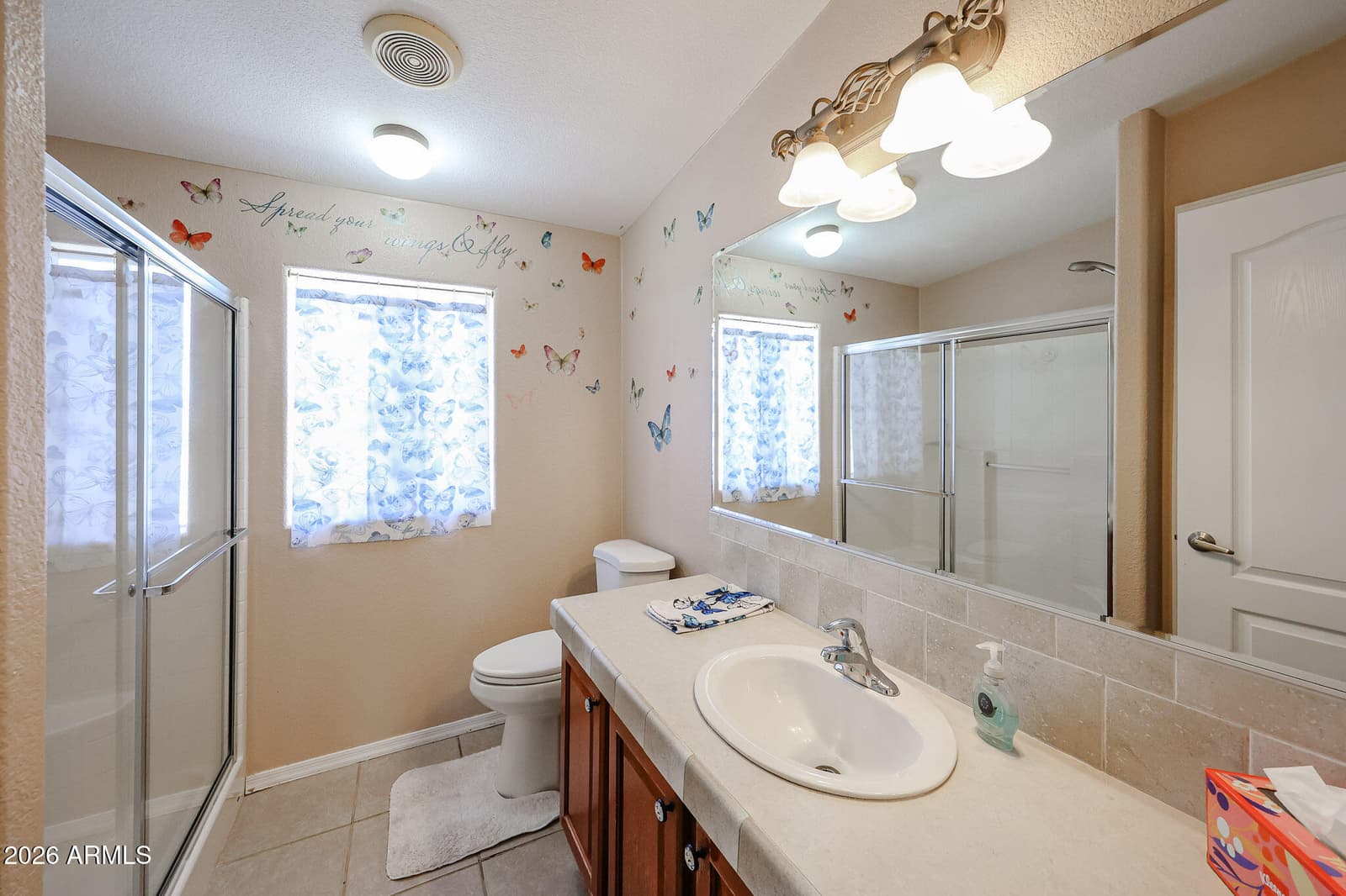 22129 W DIXILETA Drive, Wittmann, AZ 85361 — photo 33 of 59