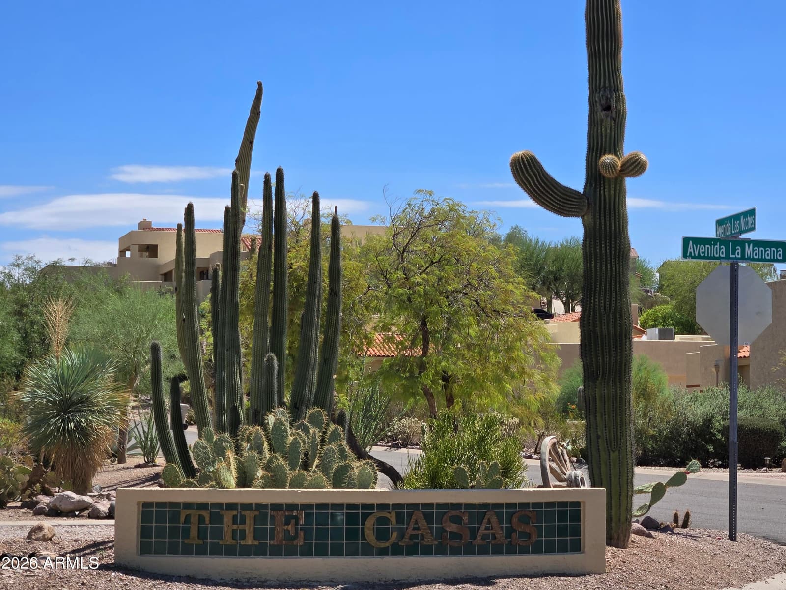 9119 E Avenida La Tarde, Gold Canyon, AZ 85118 — photo 26 of 31