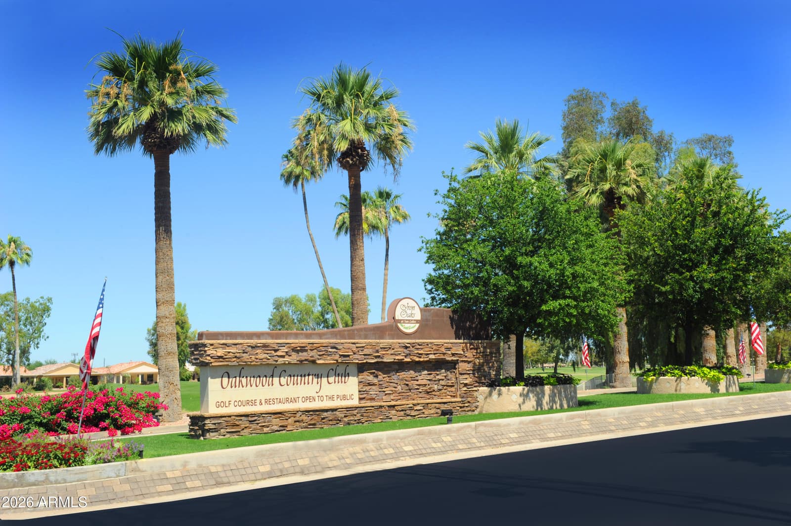 9505 E Sunridge Drive, Sun Lakes, AZ 85248 — photo 74 of 98