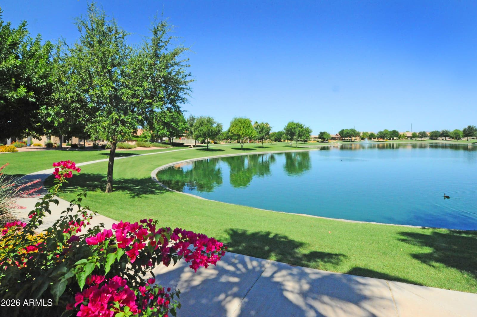 9505 E Sunridge Drive, Sun Lakes, AZ 85248 — photo 84 of 98