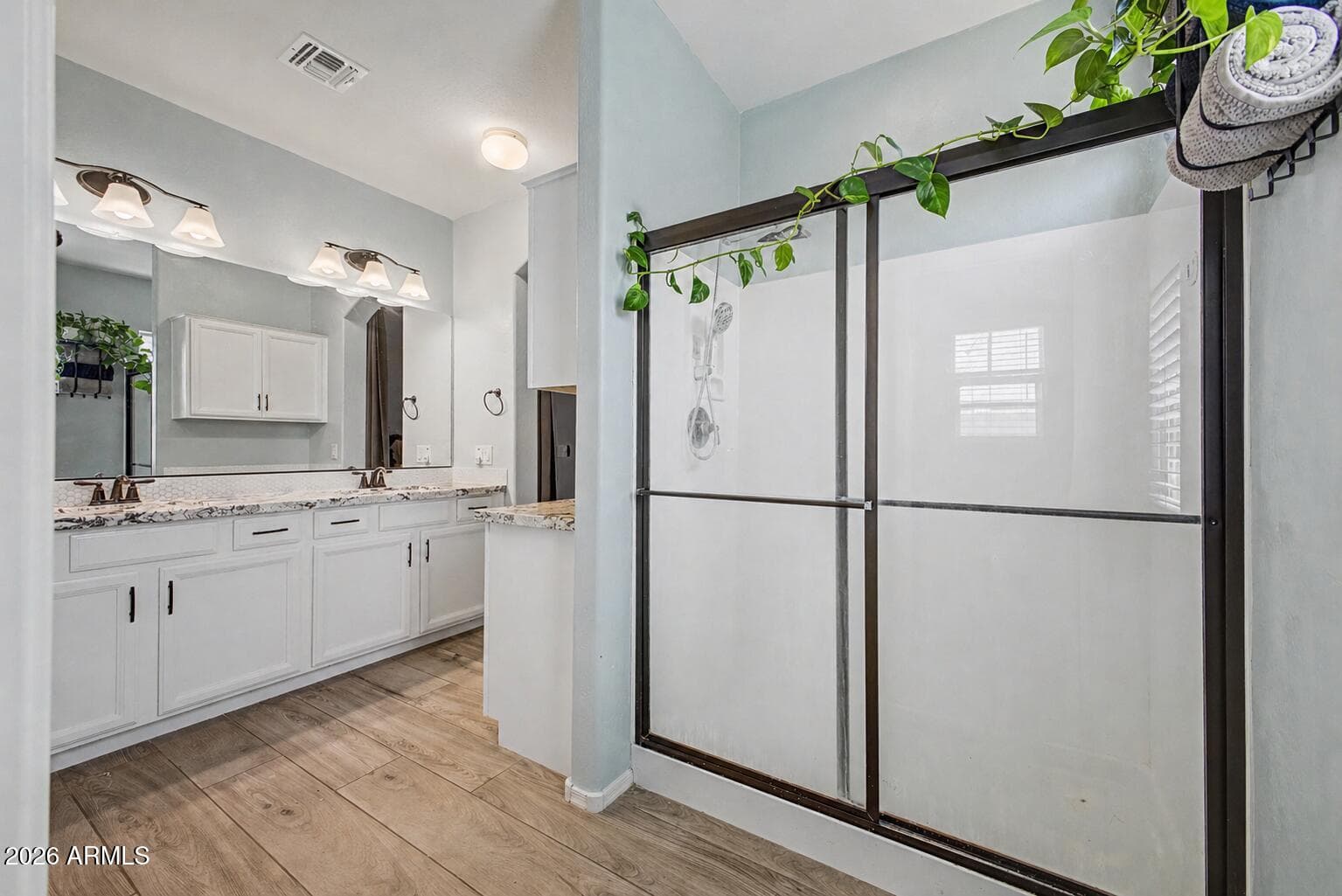16719 W ROWEL Road, Surprise, AZ 85387 — photo 15 of 27