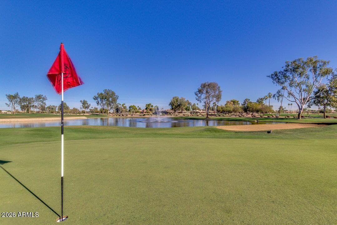 26433 S TRURO Drive, Sun Lakes, AZ 85248 — photo 55 of 62
