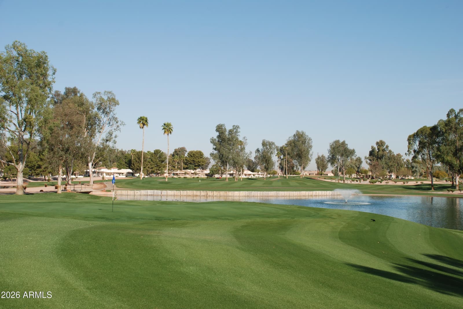 9042 E DIAMOND Drive, Sun Lakes, AZ 85248 — photo 27 of 57