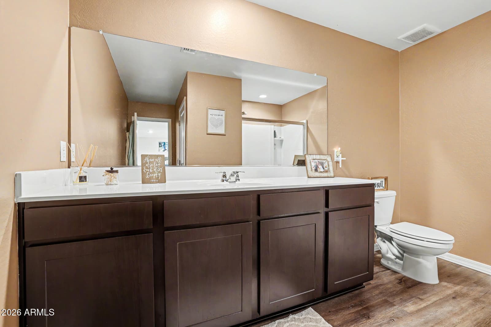 19539 W ANNIKA Drive, Litchfield Park, AZ 85340 — photo 19 of 48