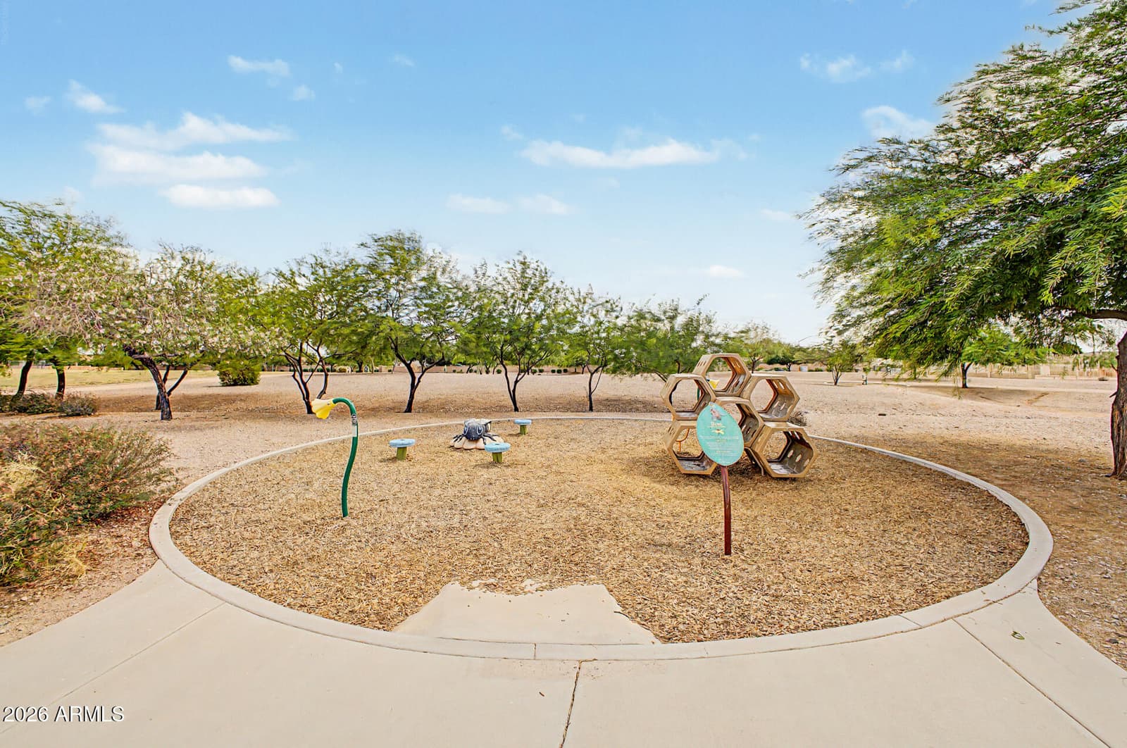 12114 E Pivot Peak, Gold Canyon, AZ 85118 — photo 48 of 53