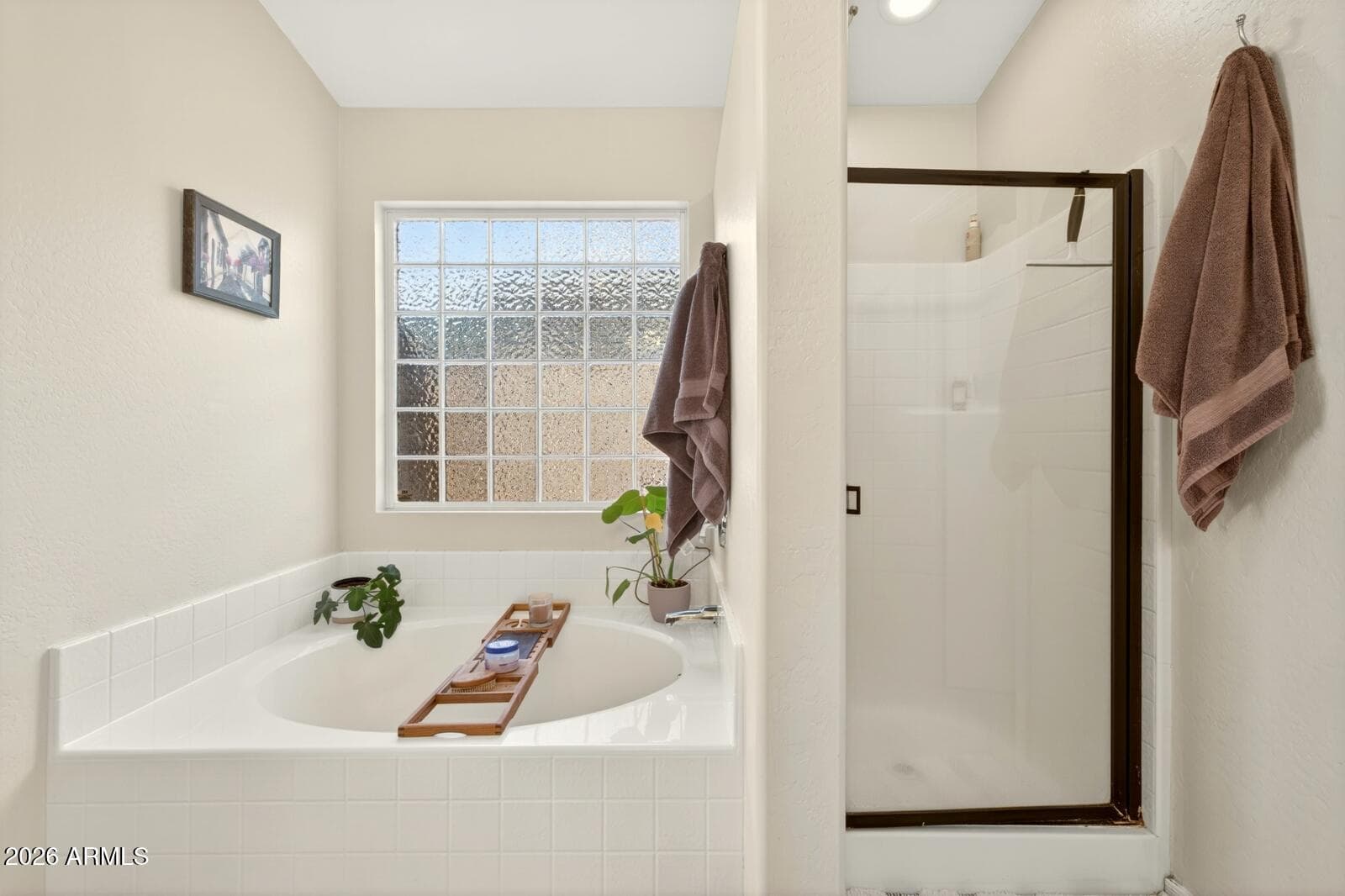 9204 E CEDAR BASIN Lane E, Gold Canyon, AZ 85118 — photo 17 of 21