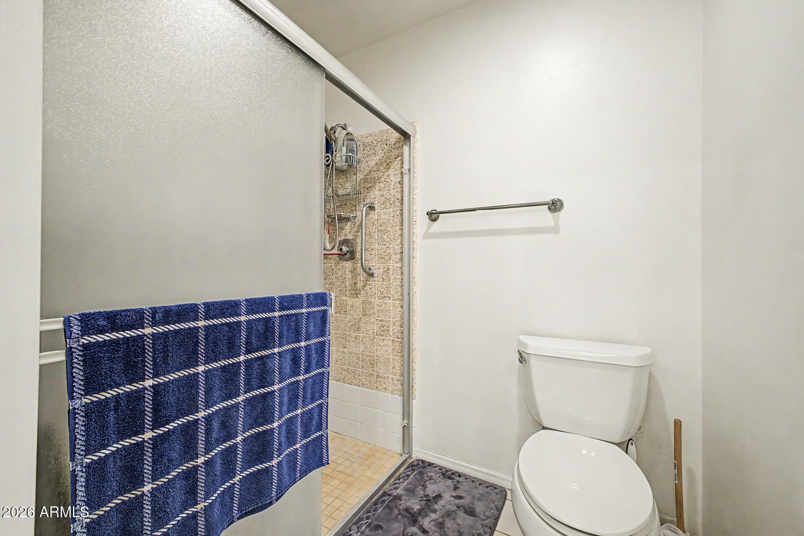 26417 S Truro Drive, Sun Lakes, AZ 85248 — photo 20 of 59