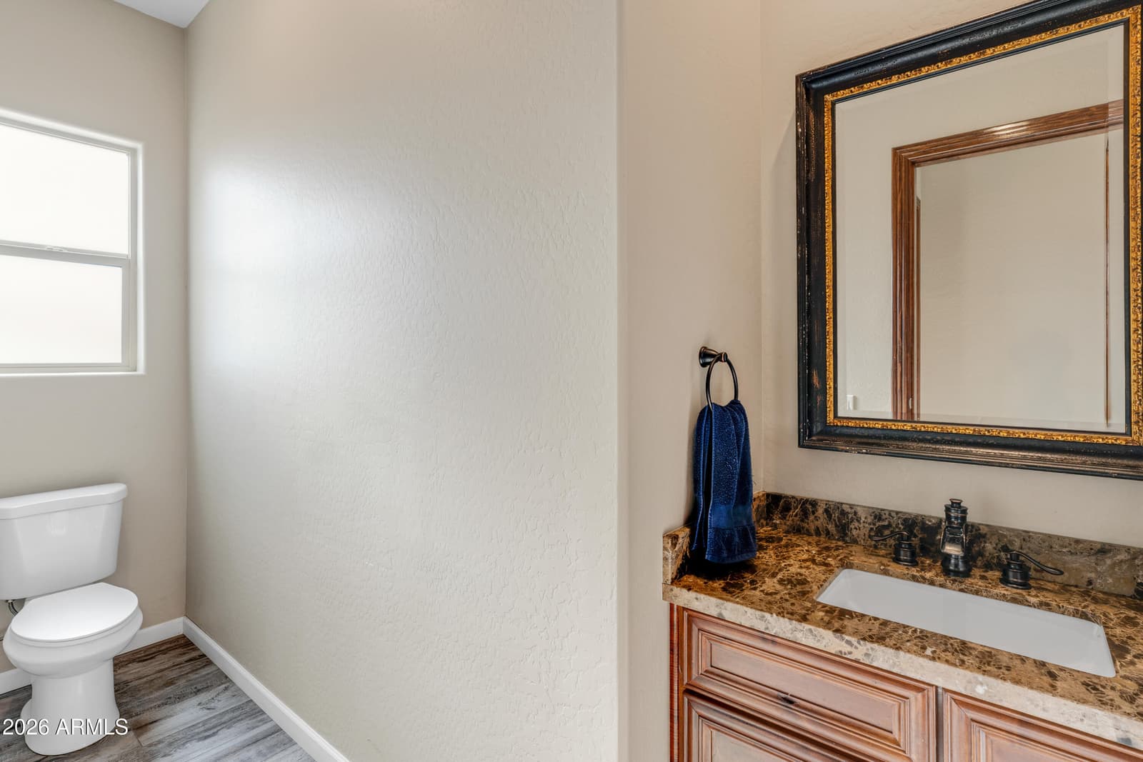 17024 E LONE MOUNTAIN Road, Rio Verde, AZ 85263 — photo 46 of 68