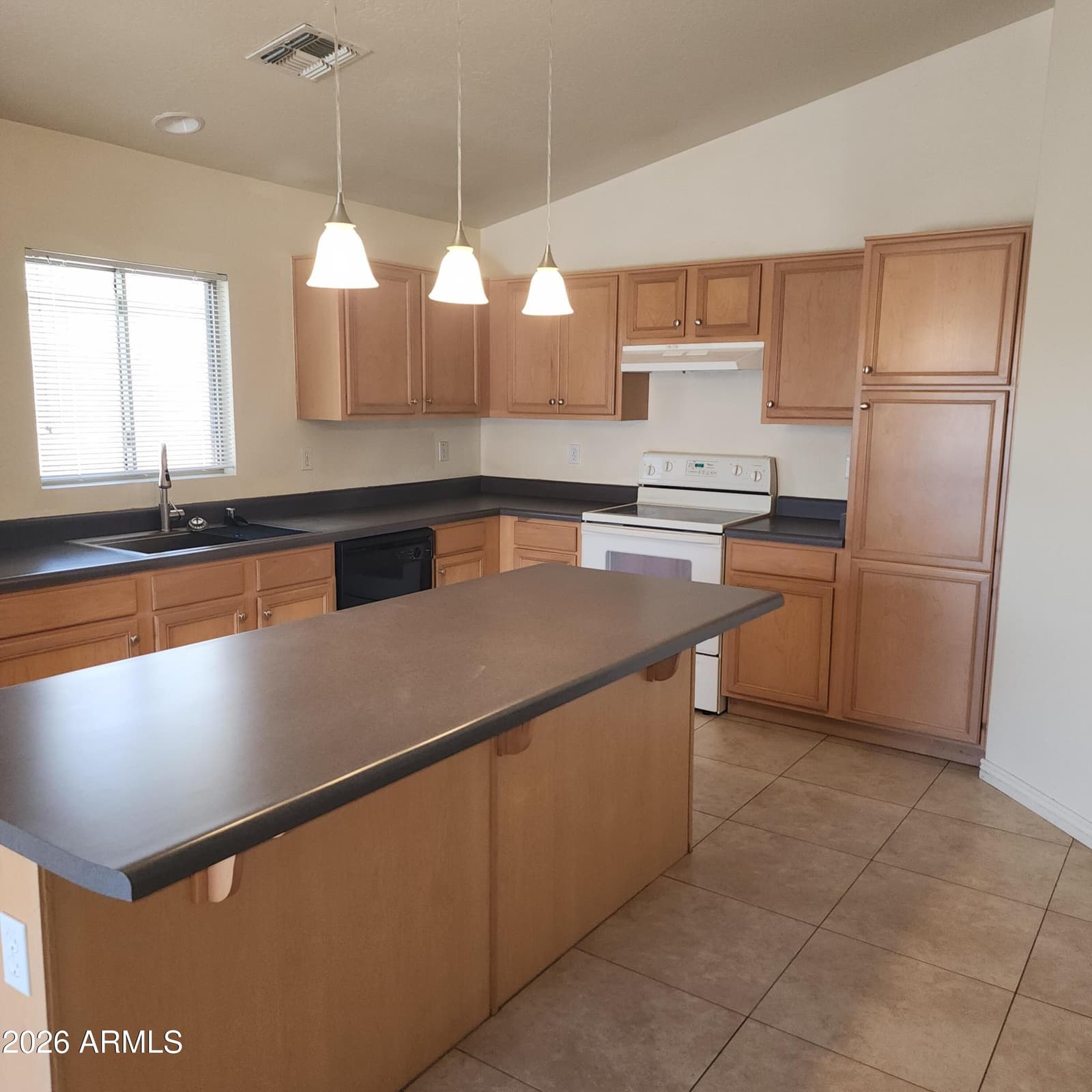 12821 W DREYFUS Drive, El Mirage, AZ 85335 — photo 4 of 19