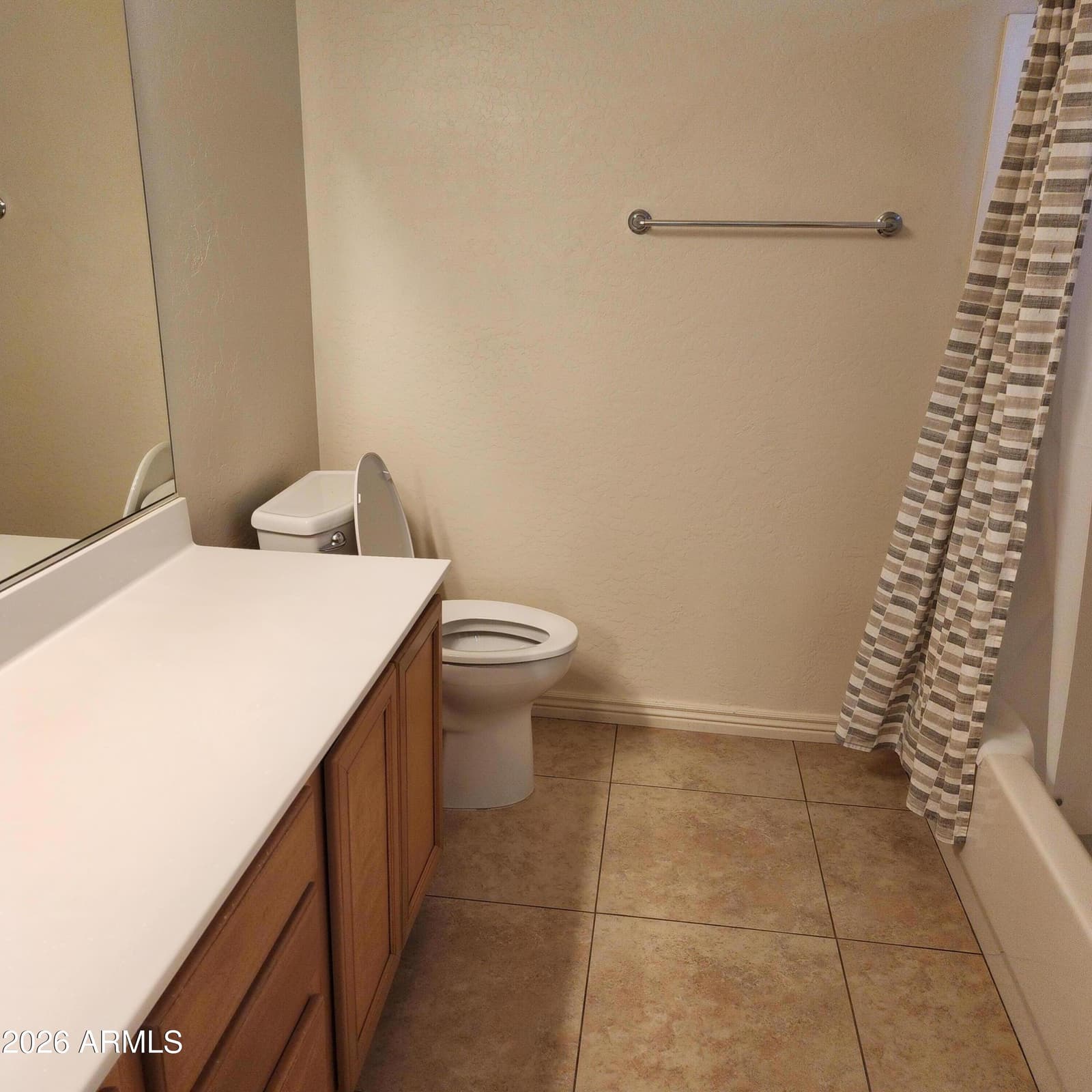 12821 W DREYFUS Drive, El Mirage, AZ 85335 — photo 6 of 19