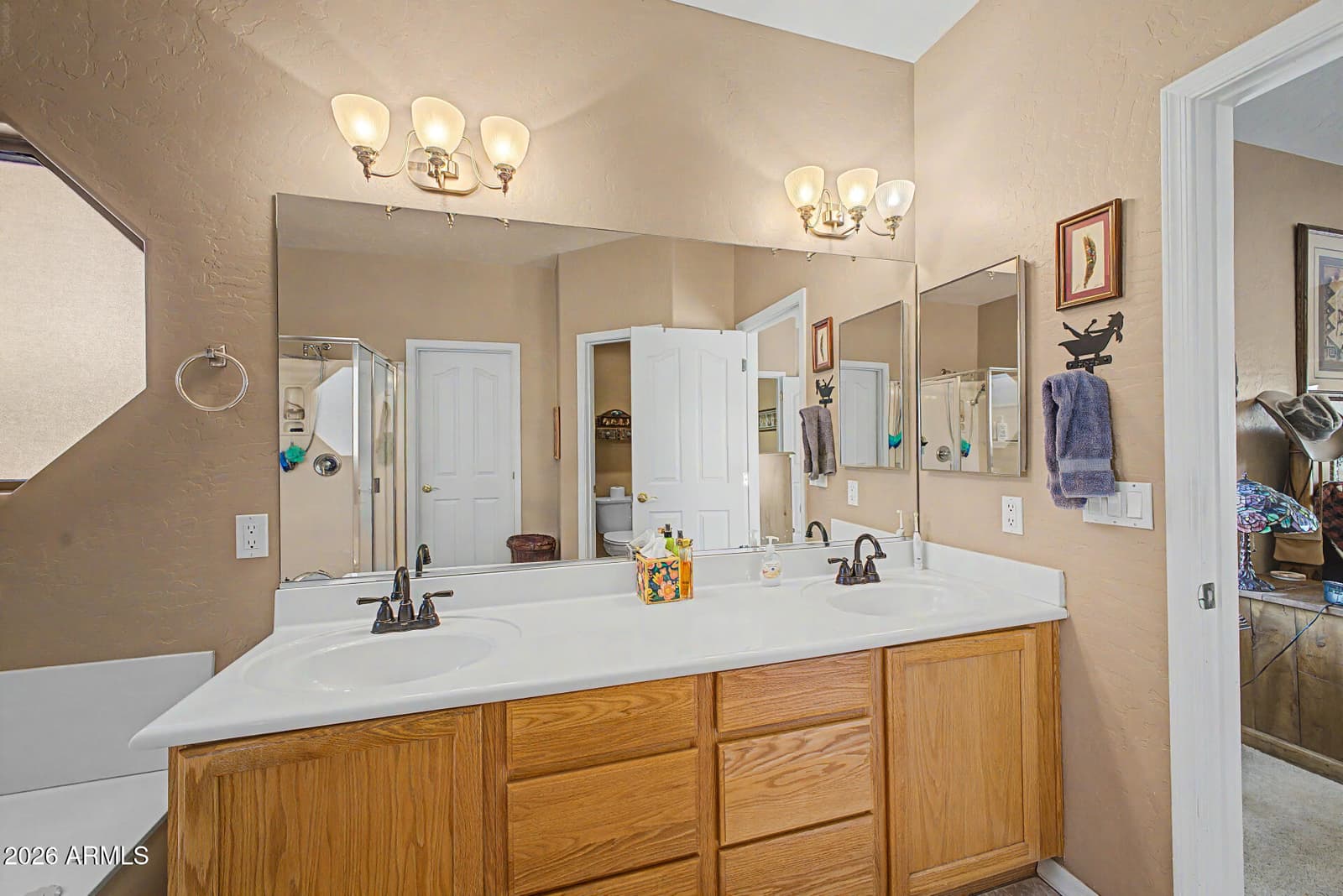 931 E Echo Circle, Apache Junction, AZ 85119 — photo 25 of 86