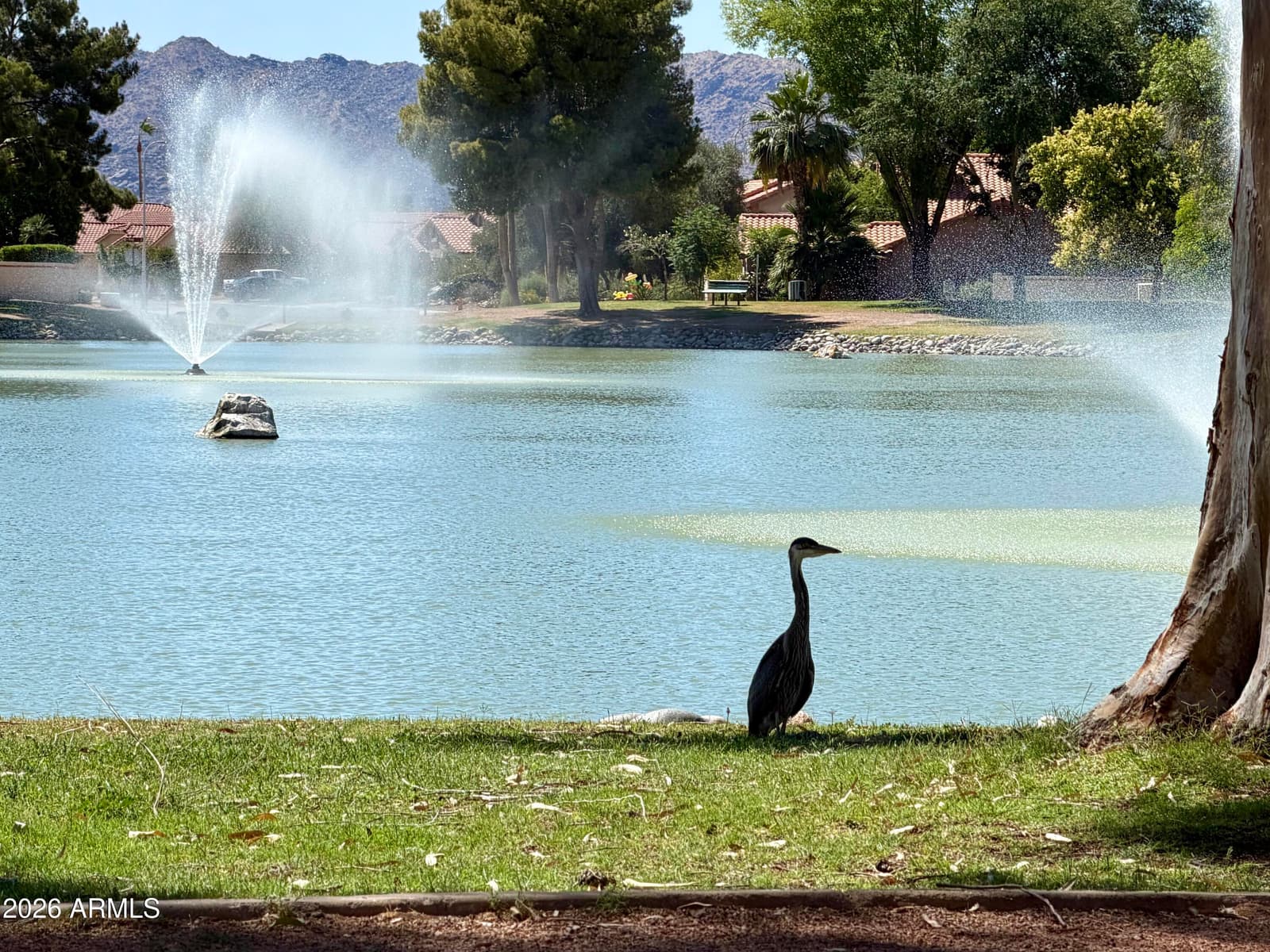 5131 W LAREDO Court, Chandler, AZ 85226 — photo 70 of 72