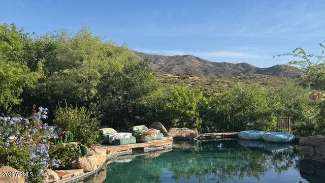 42421 N Deer Trail Road, Cave Creek, AZ 85331 — photo 3 of 59