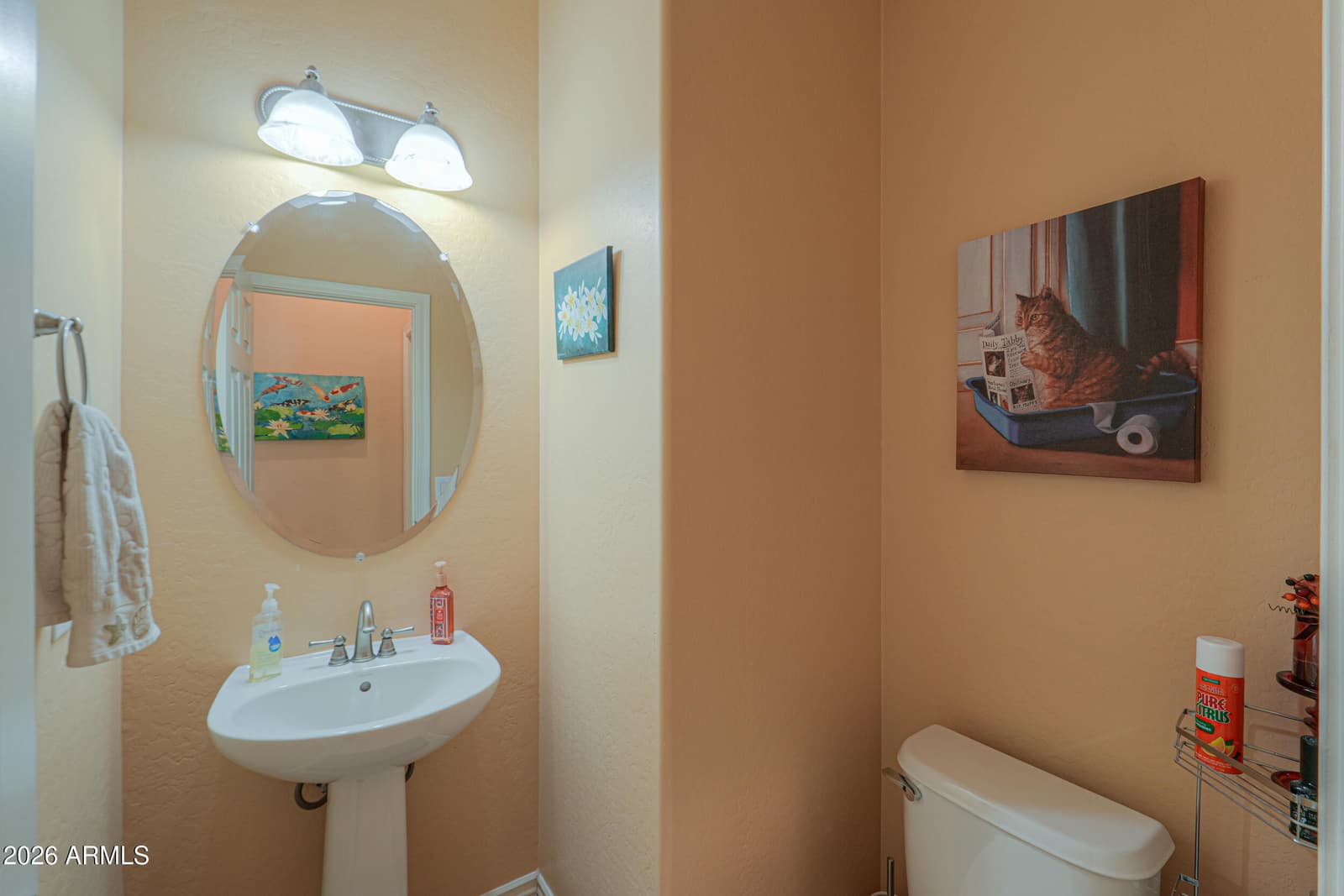 265 W Blue Lagoon Drive, Casa Grande, AZ 85122 — photo 23 of 76