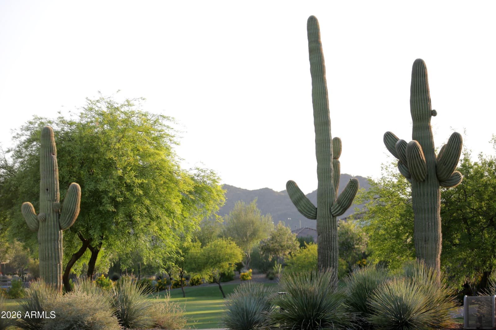 26711 N 70th Lane, Peoria, AZ 85383 — photo 59 of 70