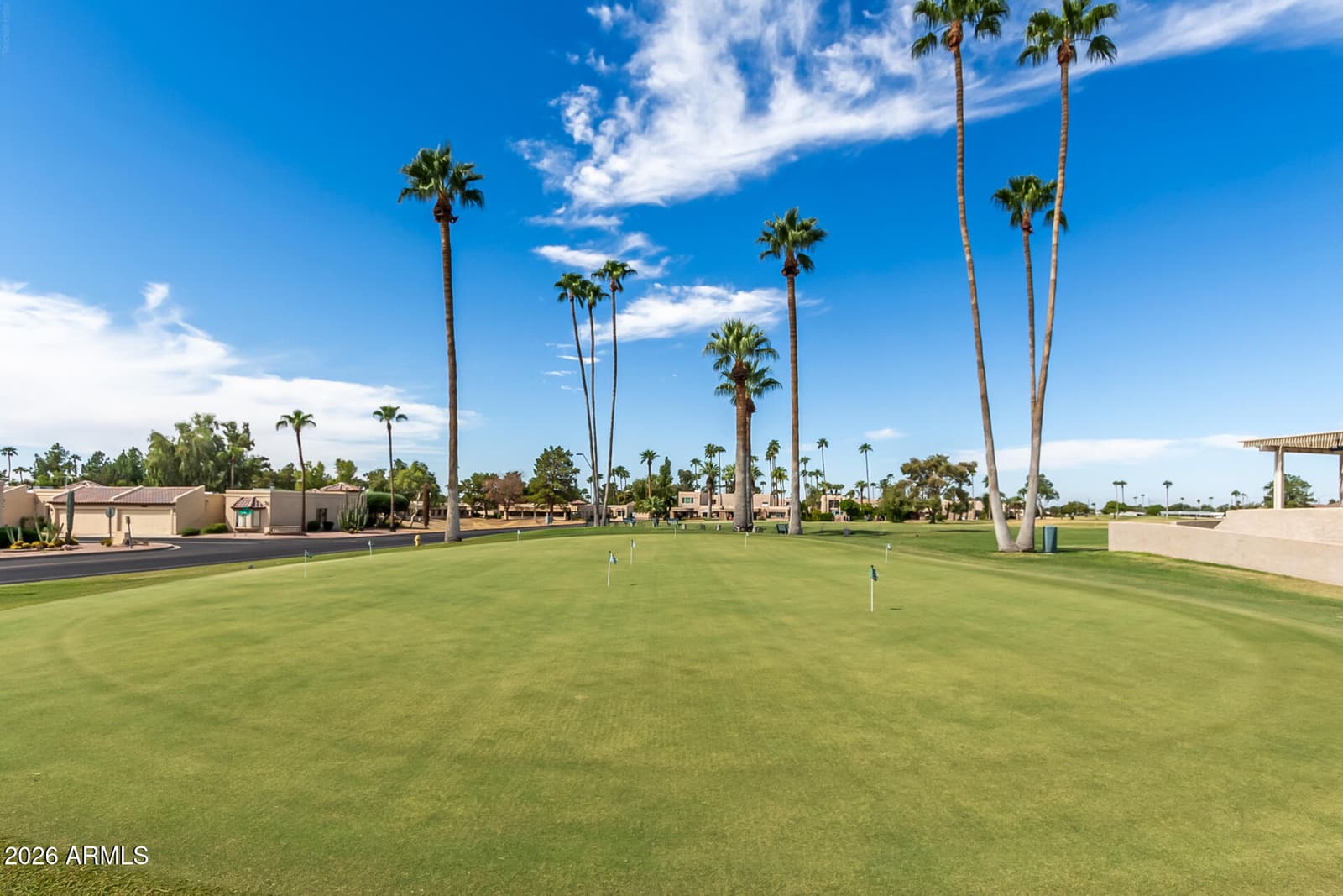 605 S DESERT FLOWER Drive, Mesa, AZ 85208 — photo 46 of 47