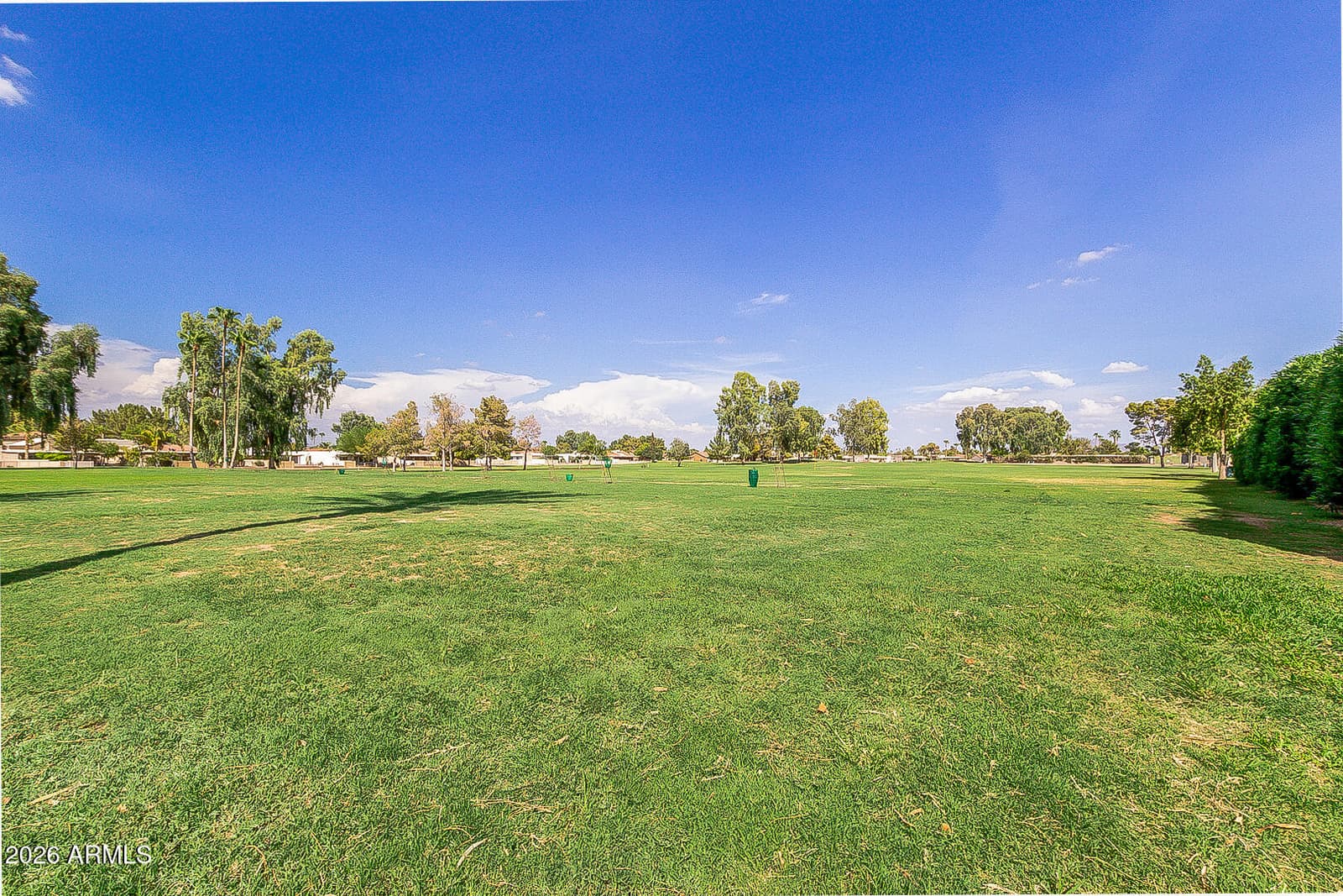 8914 E Copper Valley Lane, Sun Lakes, AZ 85248 — photo 43 of 62