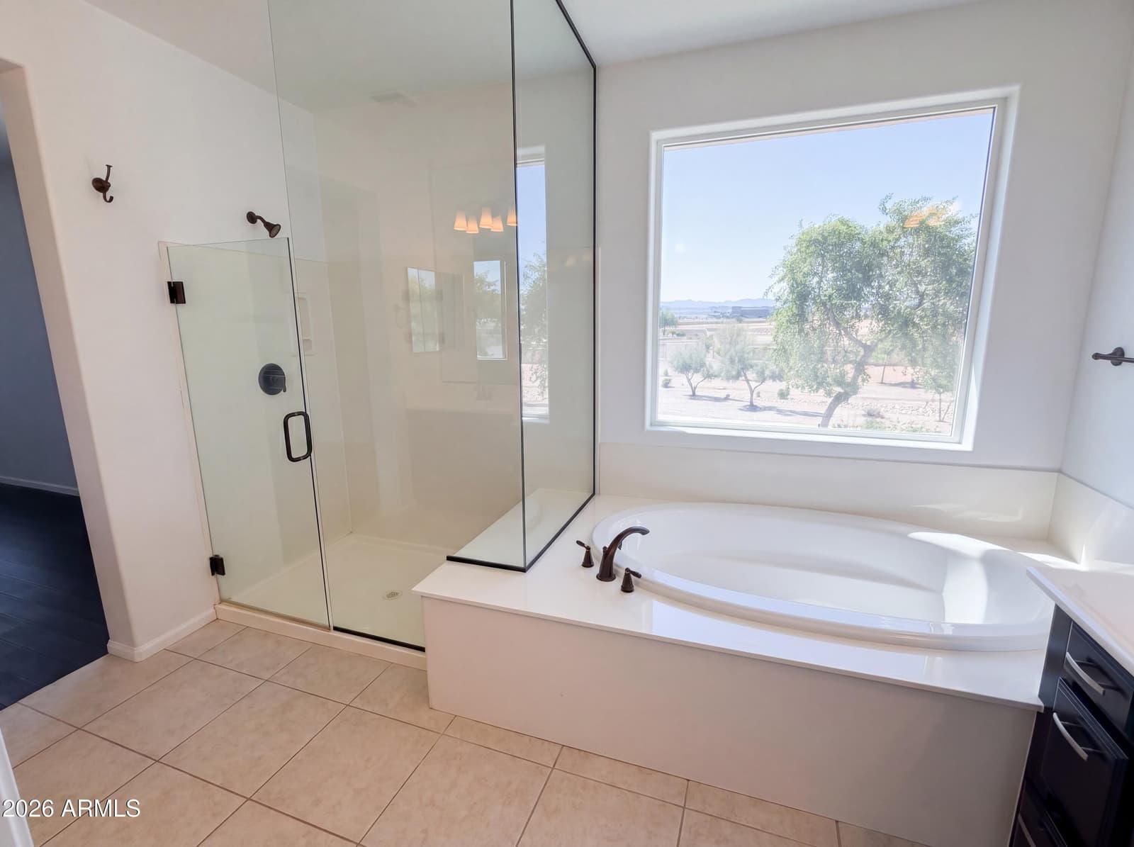 5064 N 148TH Avenue, Litchfield Park, AZ 85340 — photo 30 of 48