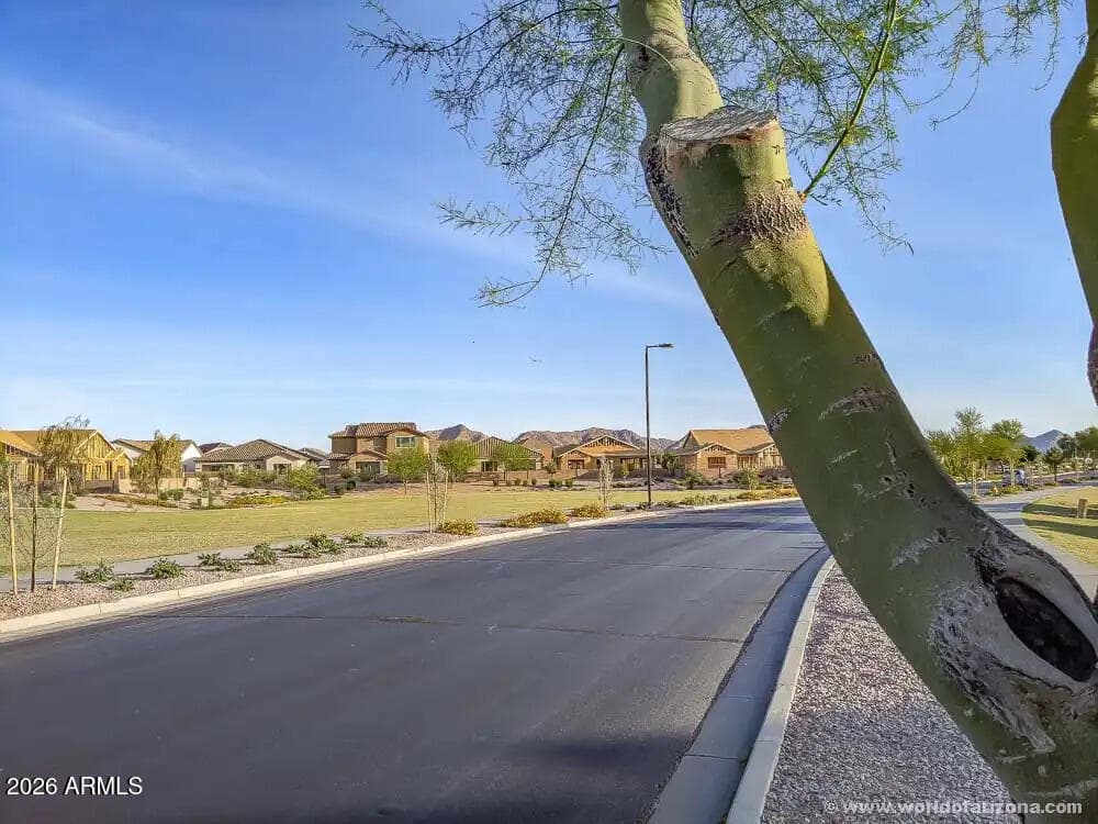 20849 E VIA DEL SOL, Queen Creek, AZ 85142 — photo 41 of 41