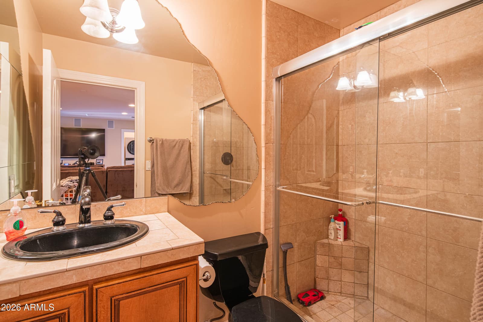 3931 N MARLOW Road, Apache Junction, AZ 85119 — photo 58 of 121