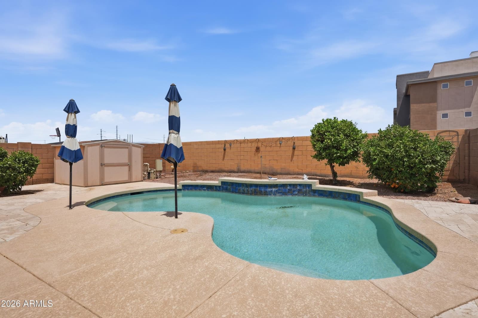 12534 W Woodland Avenue, Avondale, AZ 85323 — photo 17 of 20