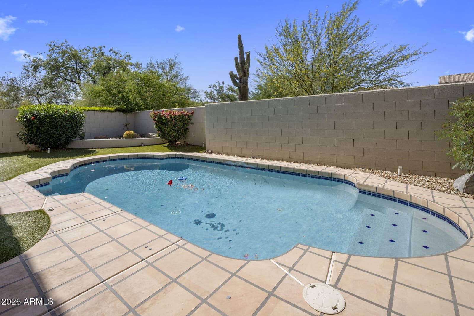 4220 E DESERT MARIGOLD Drive, Cave Creek, AZ 85331 — photo 30 of 32