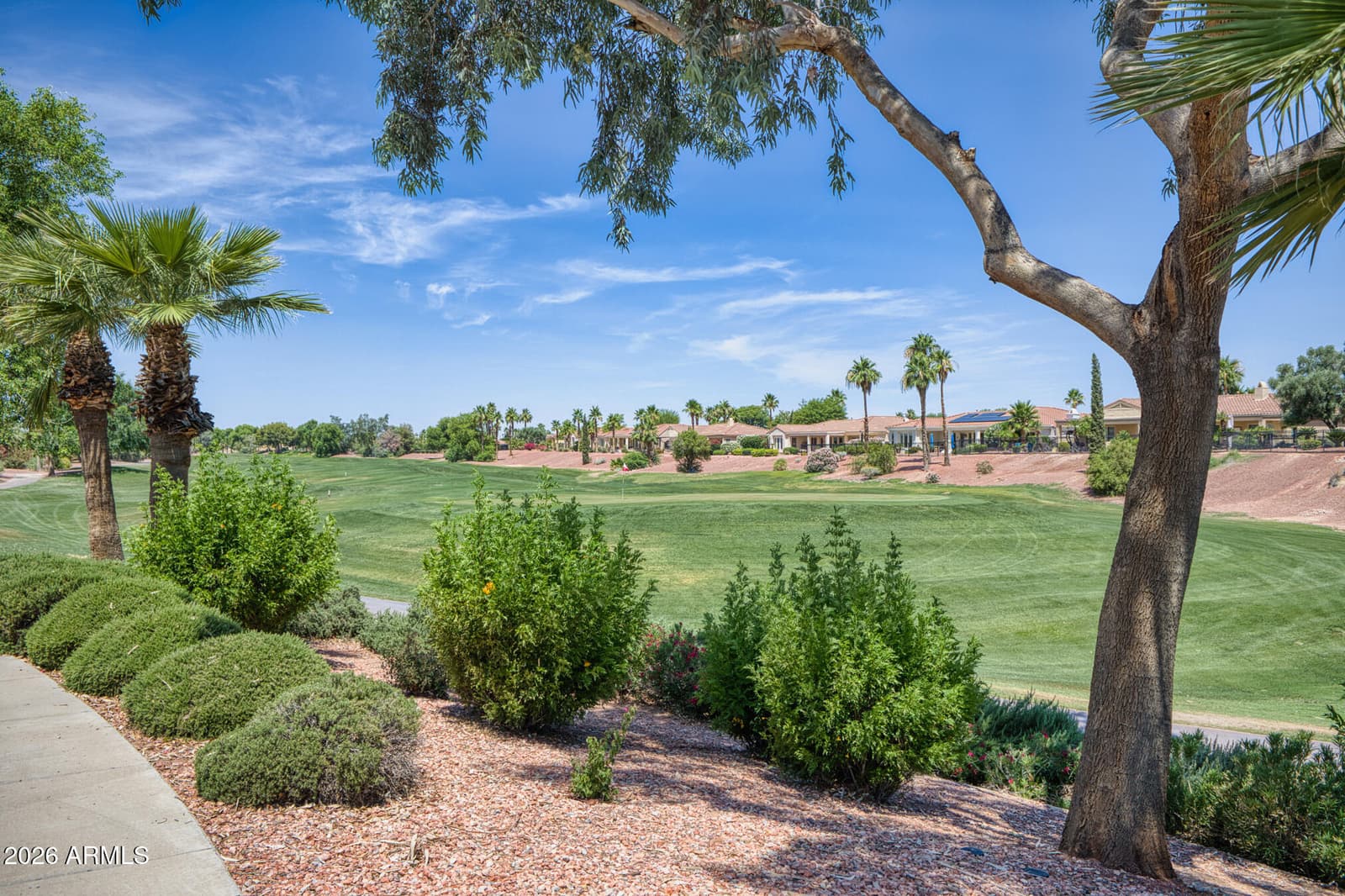 22533 N ARRELLAGA Drive, Sun City West, AZ 85375 — photo 50 of 51